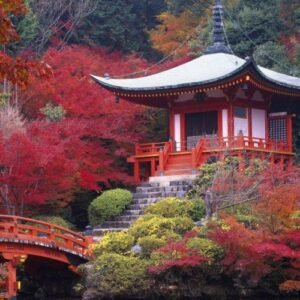 Pacote de Viagem Para Kyoto