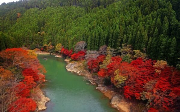 Pacote de Viagem Para Kyoto - Image 5